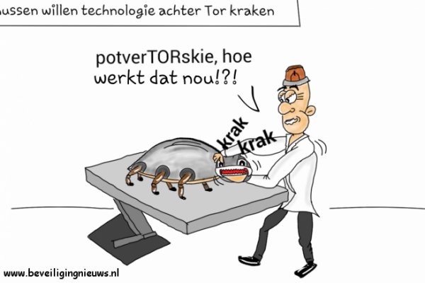 Kraken online
