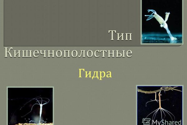 Доступ к kraken через vpn