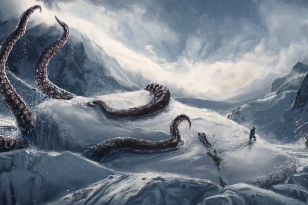 Kraken 20at net